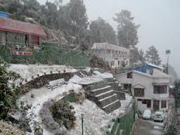 Blue Pine Resort